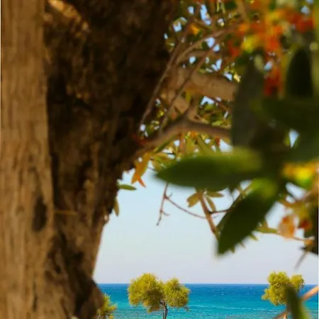 The Nine Graces - With Private Swimming Pools 4*