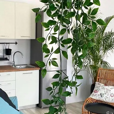 The Nine Graces - With Private Swimming Pools Semesteranläggning (resort)