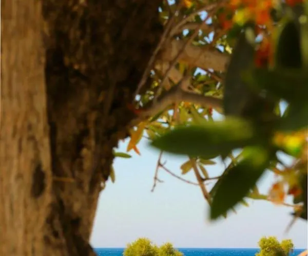 The Nine Graces - With Private Swimming Pools 4*