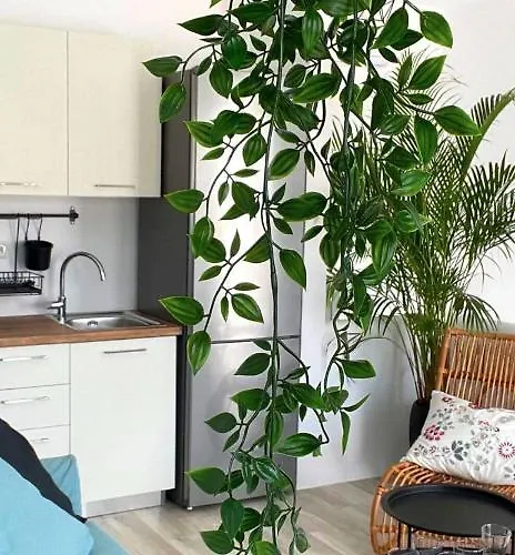 The Nine Graces - With Private Swimming Pools Ośrodek wypoczynkowy